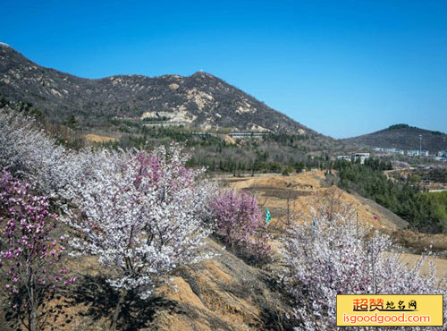 樱花山水利风景区景点照片