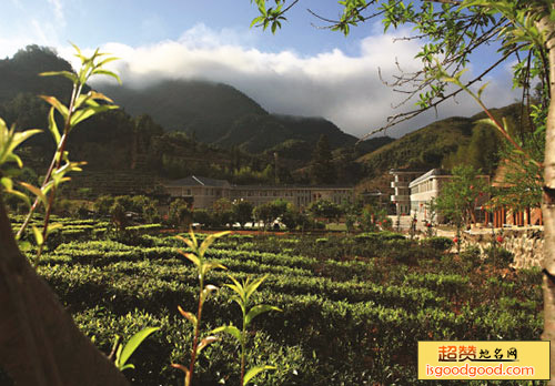 西岩茶乡度假村景点照片