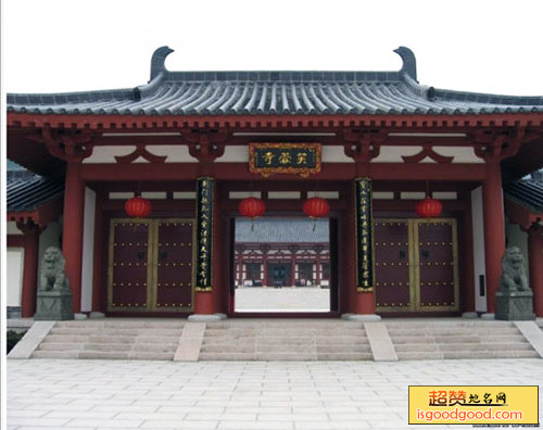 宝山森林公园景点照片