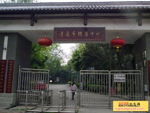 重庆鳄鱼中心景点照片