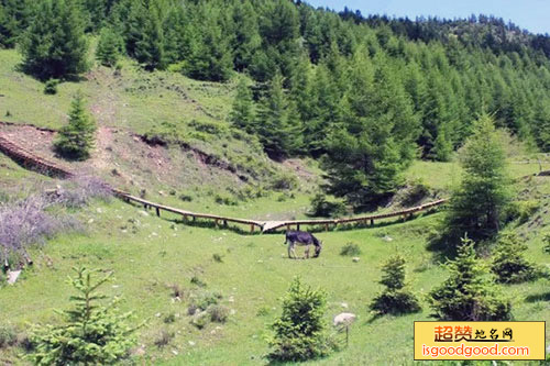 神池国家登山步道景点照片