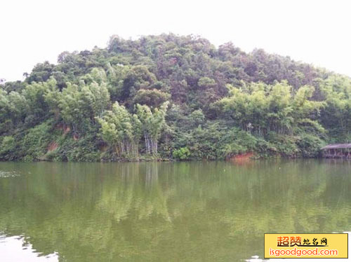 天鹿湖森林公园景点照片