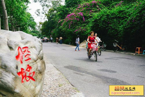 厦门怪坡景点照片