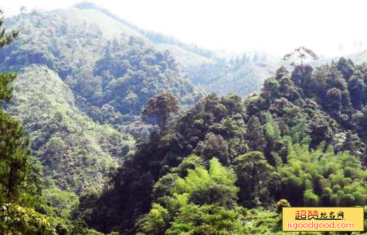 均峰山自然保护区景点照片